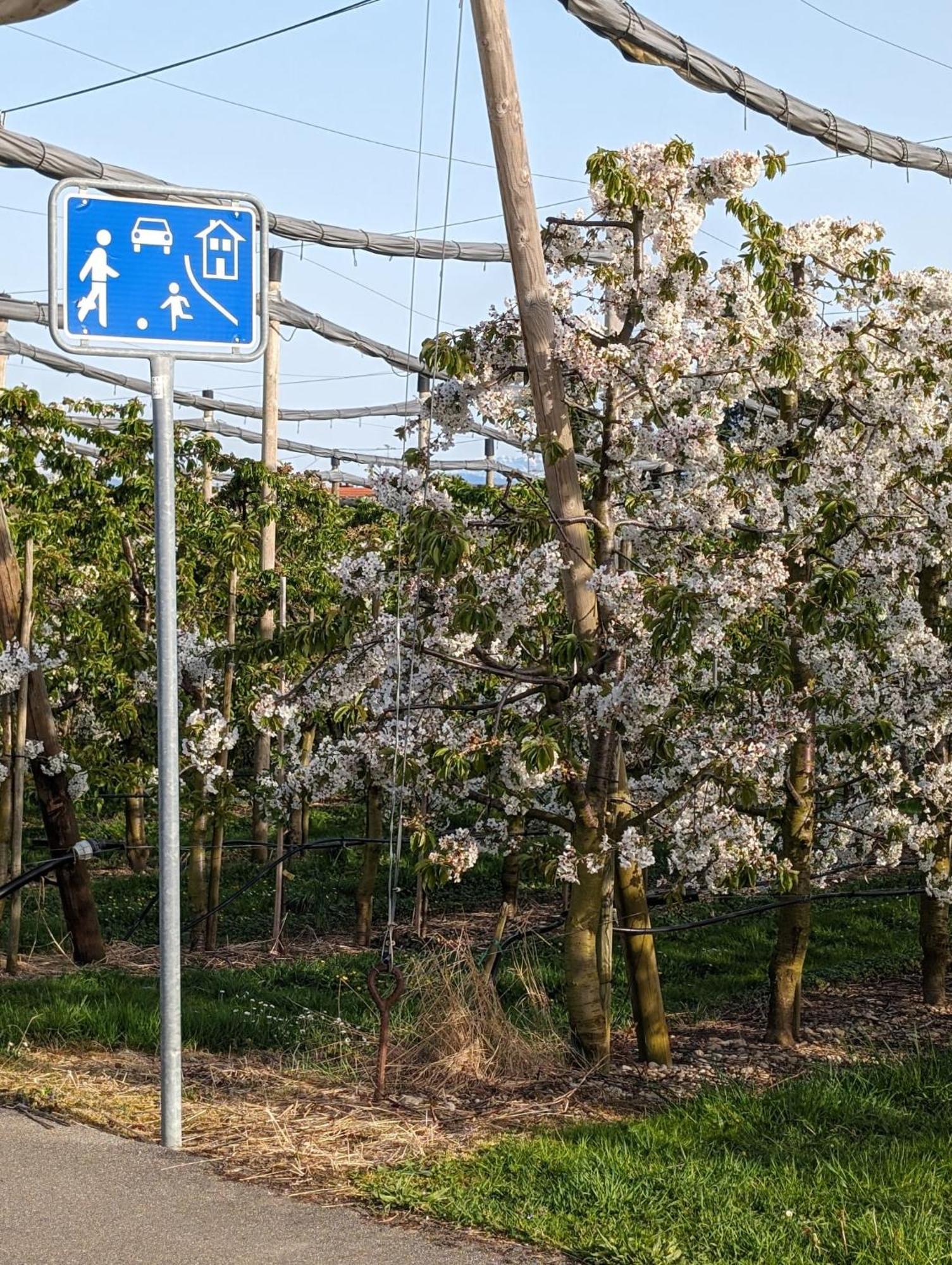 Kinderlachen Wasserburg Dış mekan fotoğraf